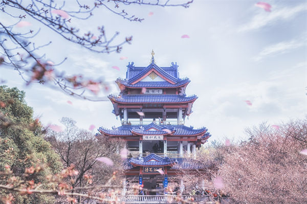 供應(yīng)鏈成本居高不下，無錫供應(yīng)鏈咨詢公司如何精準(zhǔn)砍出利潤空間？